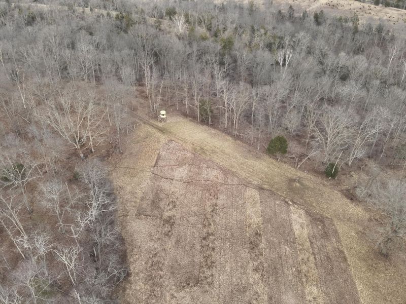 1390 Belmont Road, Brooksville, KY 41004 Photo 3