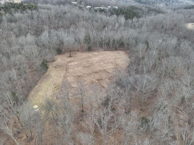 1390 Belmont Road, Brooksville, KY 41004 Photo 5