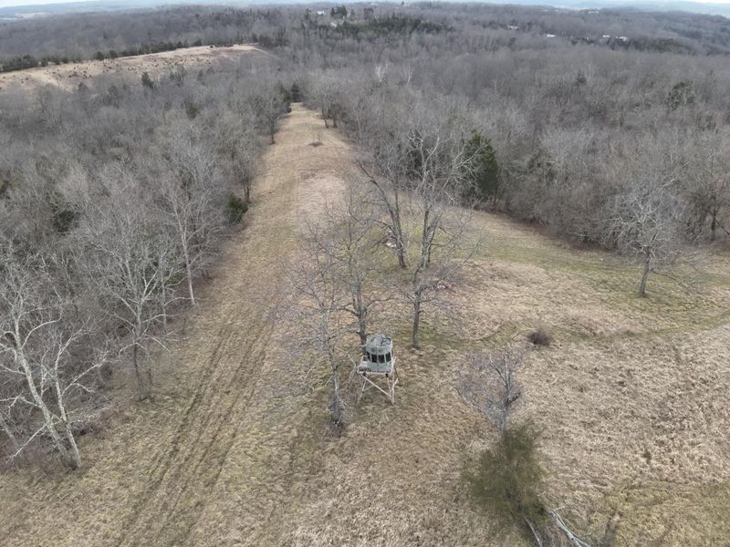 1390 Belmont Road, Brooksville, KY 41004 Photo 6