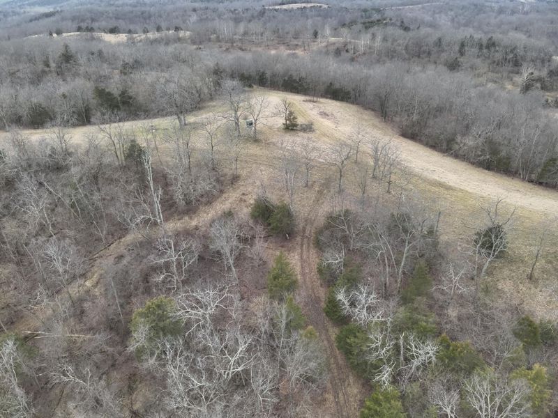 1390 Belmont Road, Brooksville, KY 41004 Photo 8