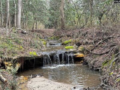 0 Tall Timber Drive , Leesville, SC 29070