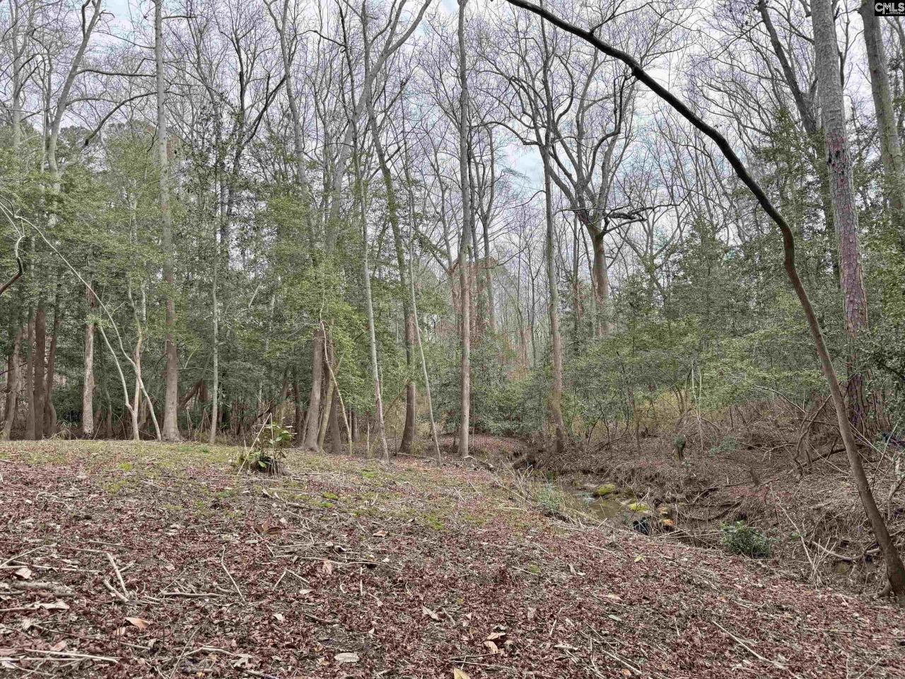 0 Tall Timber Drive  Photo 12