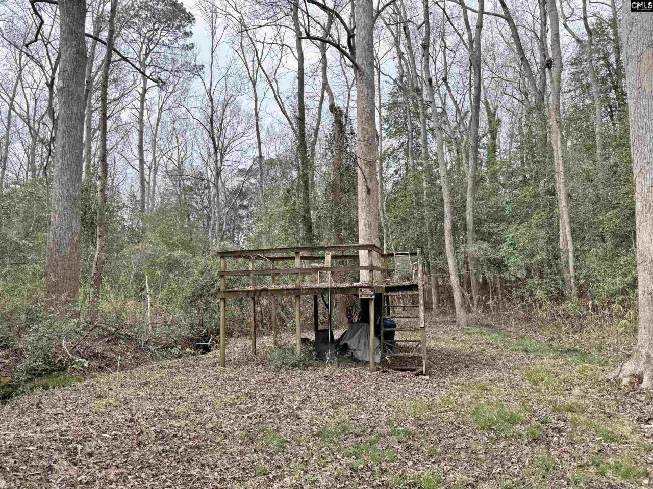 0 Tall Timber Drive  Photo 14