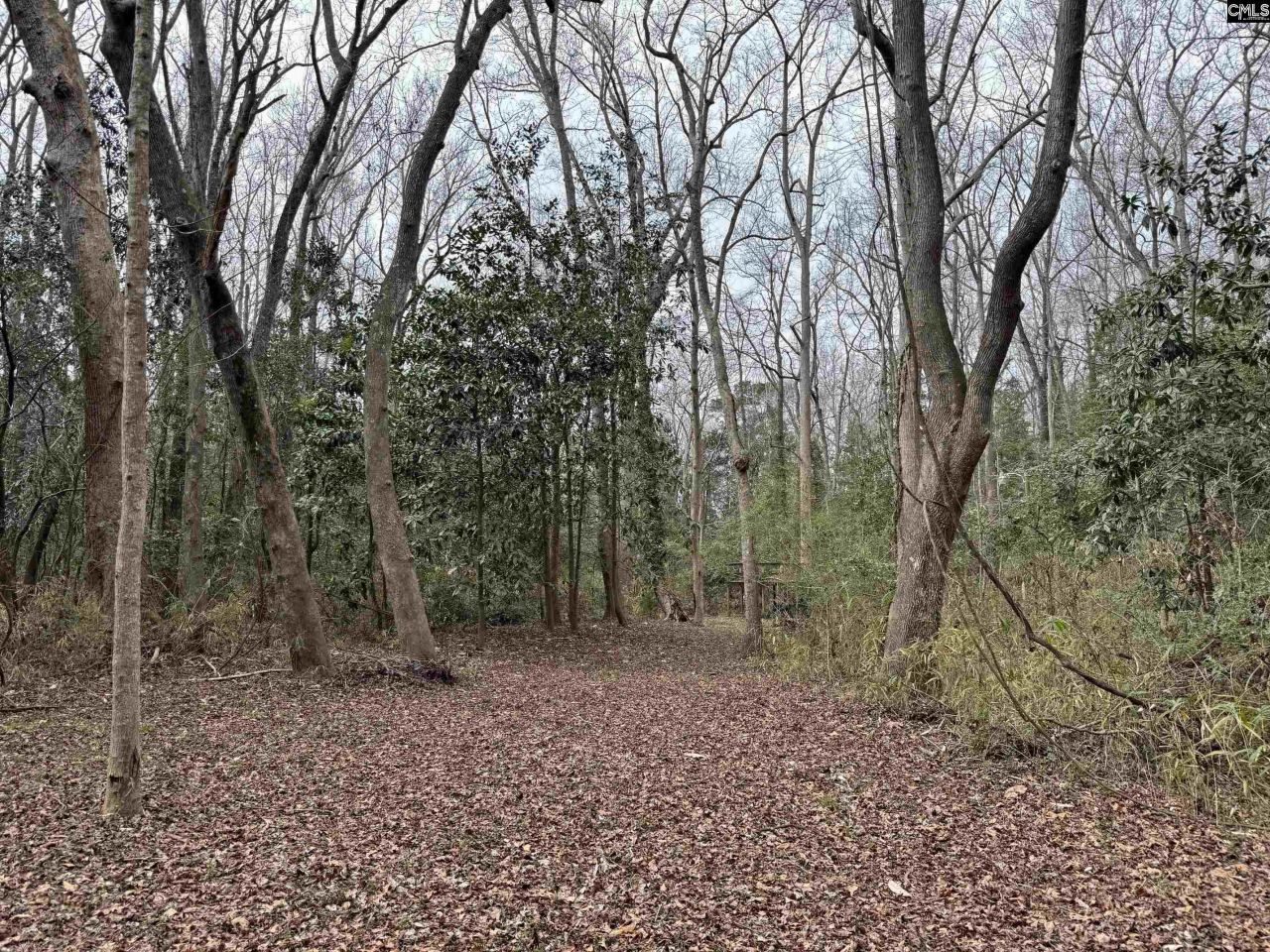 0 Tall Timber Drive  Photo 15