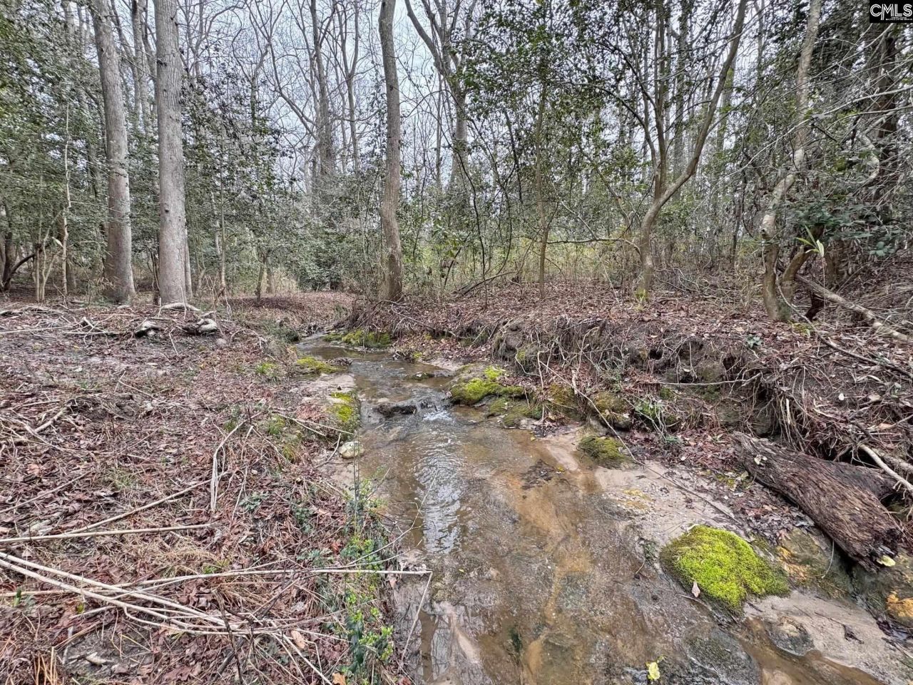 0 Tall Timber Drive  Photo 17