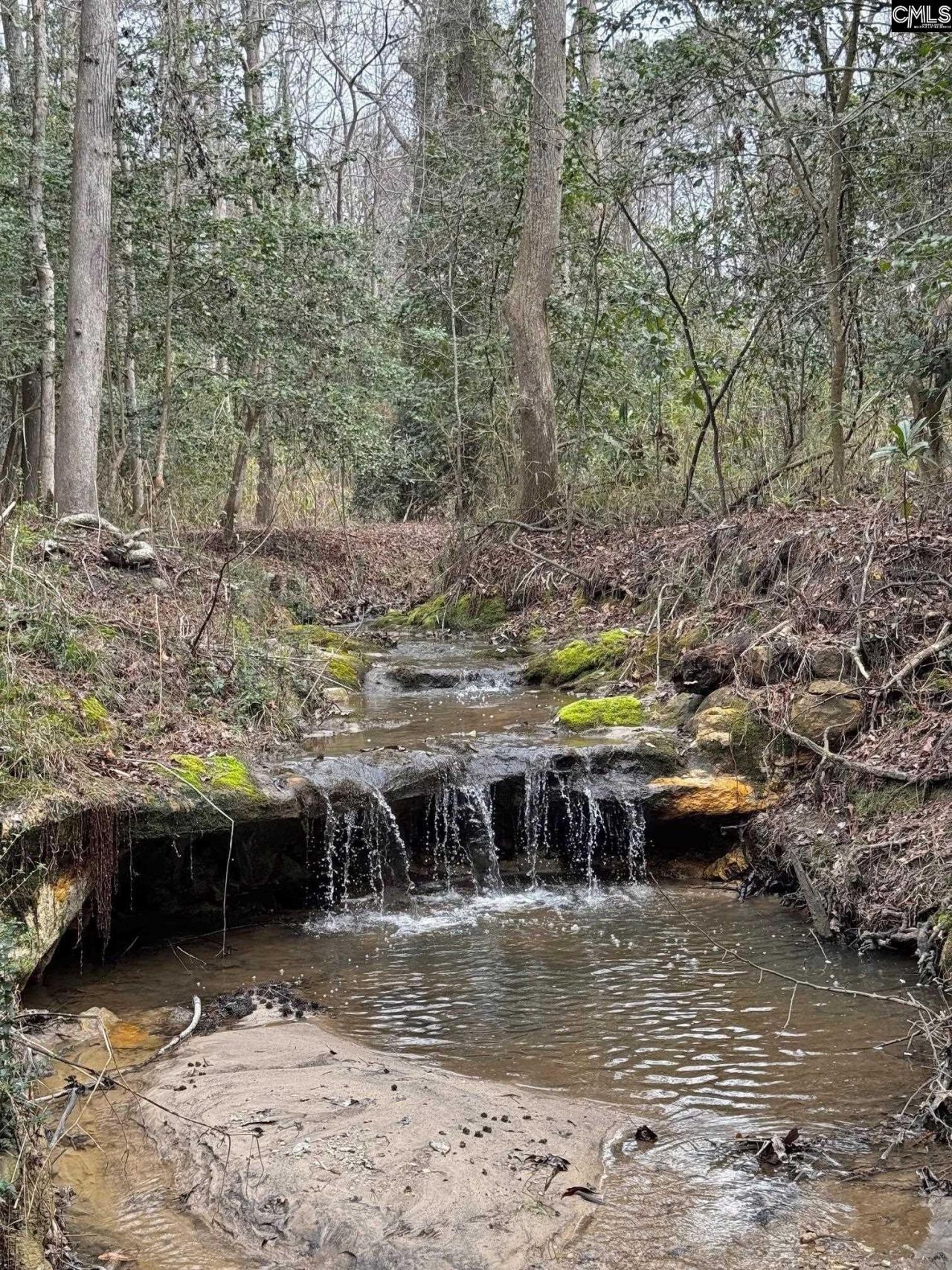 0 Tall Timber Drive  Photo 19