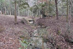 0 Tall Timber Drive  photo 4