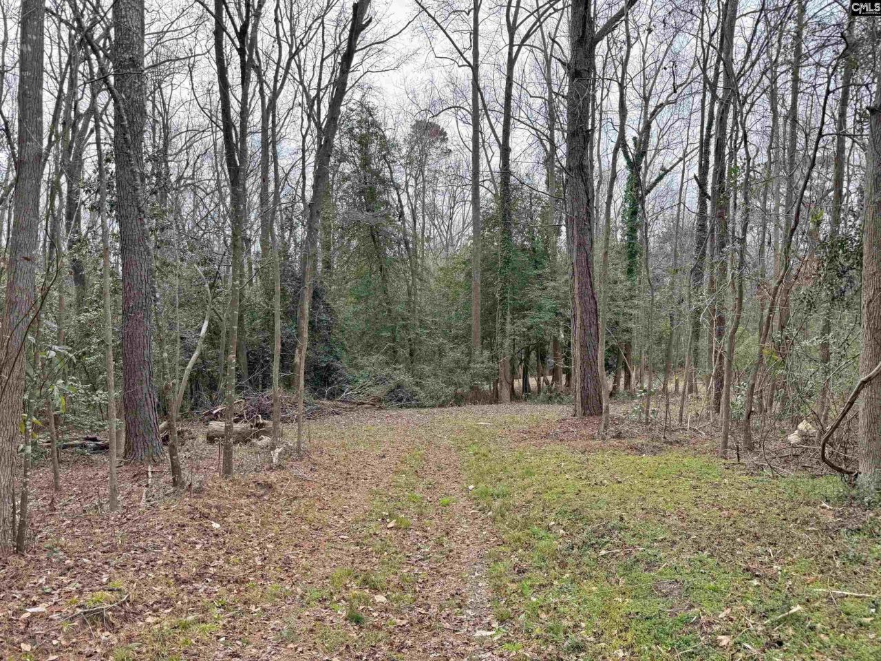 0 Tall Timber Drive  Photo 21