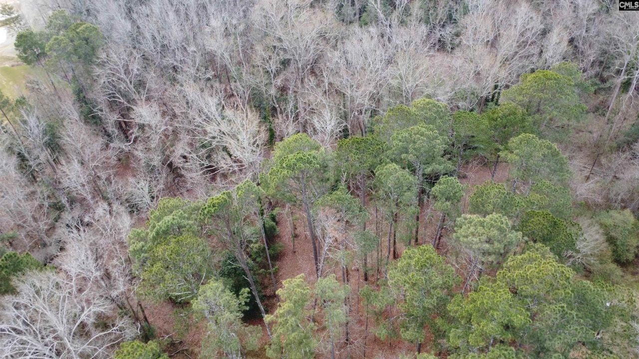 0 Tall Timber Drive  Photo 23