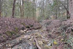 0 Tall Timber Drive  photo 4