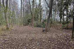 0 Tall Timber Drive  photo 4