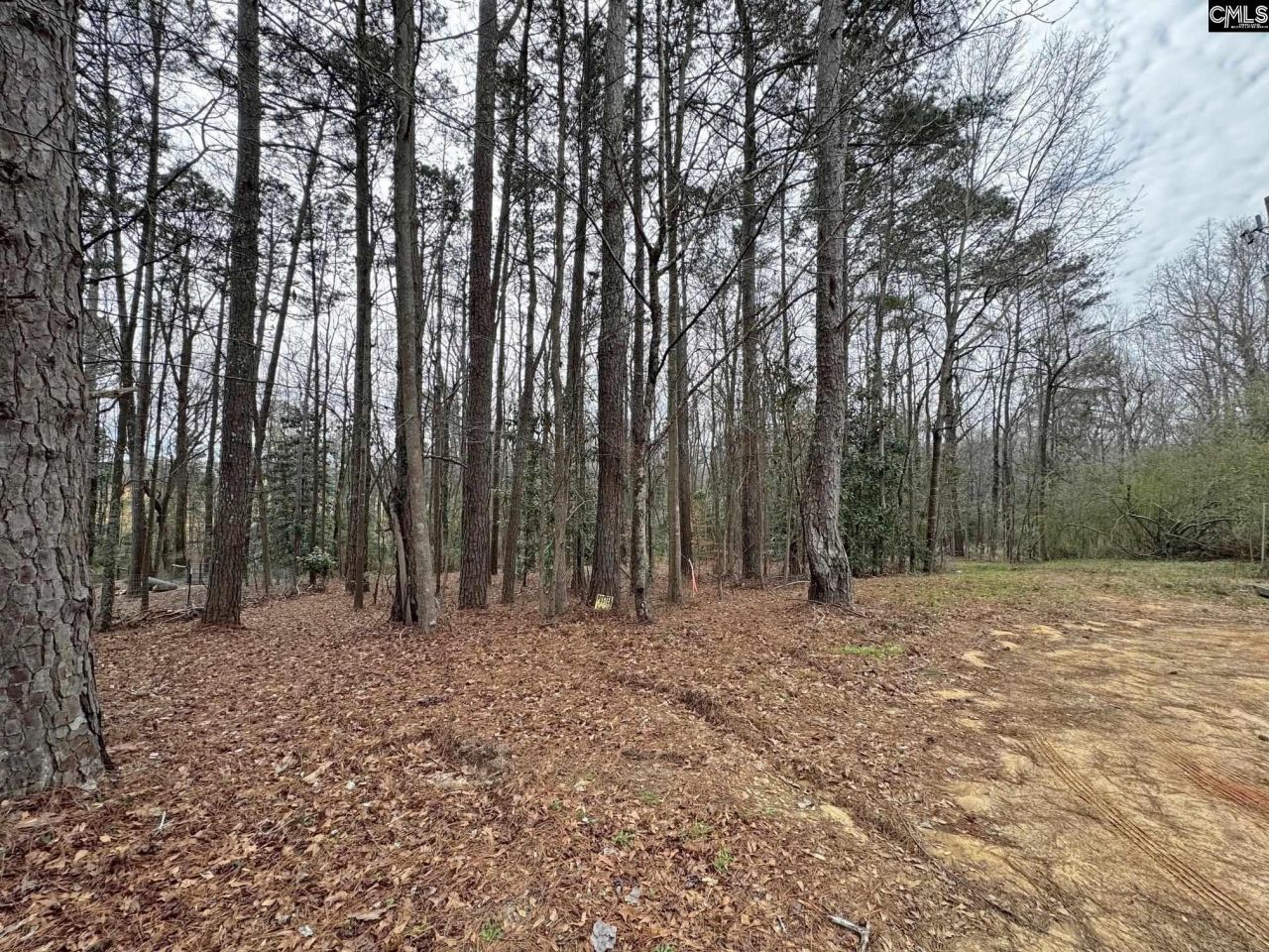 0 Tall Timber Drive  Photo 5