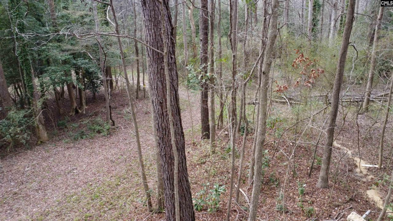 0 Tall Timber Drive  Photo 8