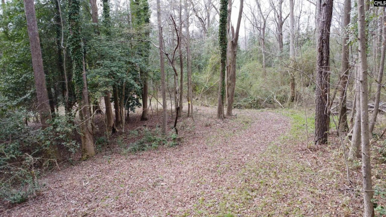 0 Tall Timber Drive  Photo 9