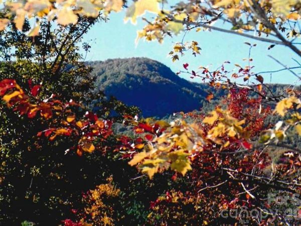 000 Froggyville Lane , Mill Spring, NC 28756