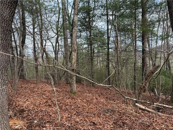 Lot 13 Frances Drive, Ellijay, GA 30536