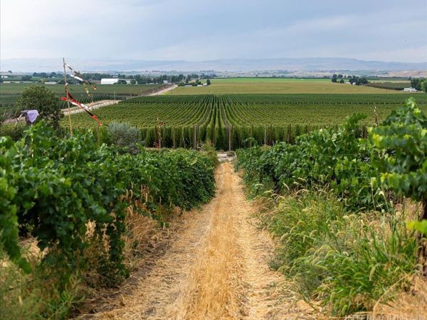 24013 Arena Valley Rd., Parma, ID 83660