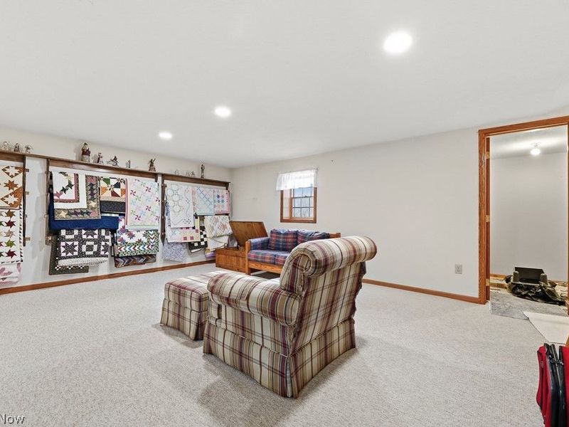 10240 Manor Road NE, Minerva, OH 44657 Photo 35