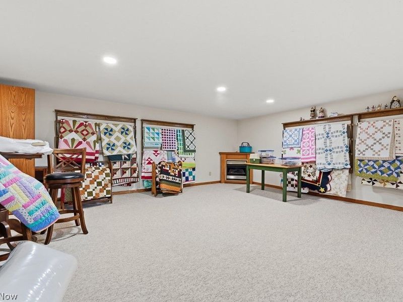 10240 Manor Road NE, Minerva, OH 44657 Photo 46