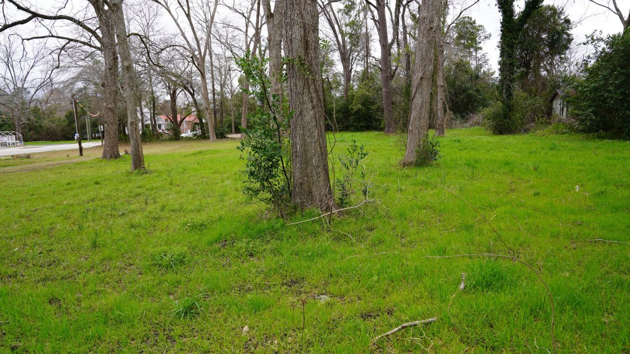 5636 Memorial Boulevard  Photo 15