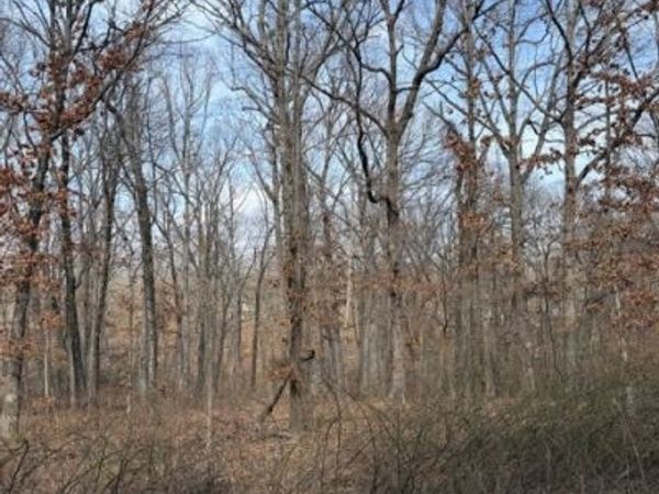 Carronbridge Lane , Bella Vista, AR 72715