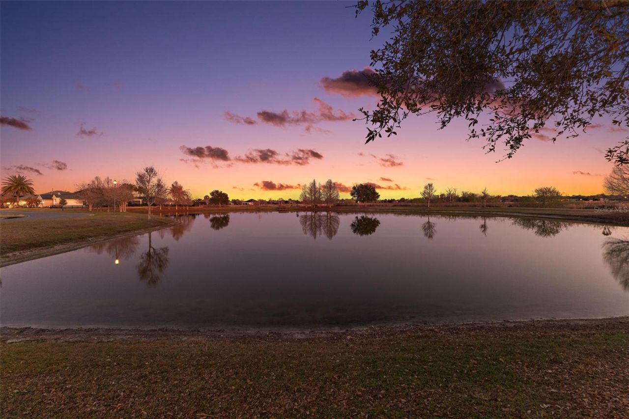 3587 Alzarine Terrace, The Villages, FL 32163 Photo