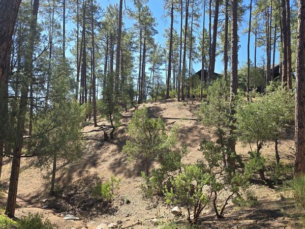 401 N Grapevine Drive, Unit 525, Payson, AZ 85541