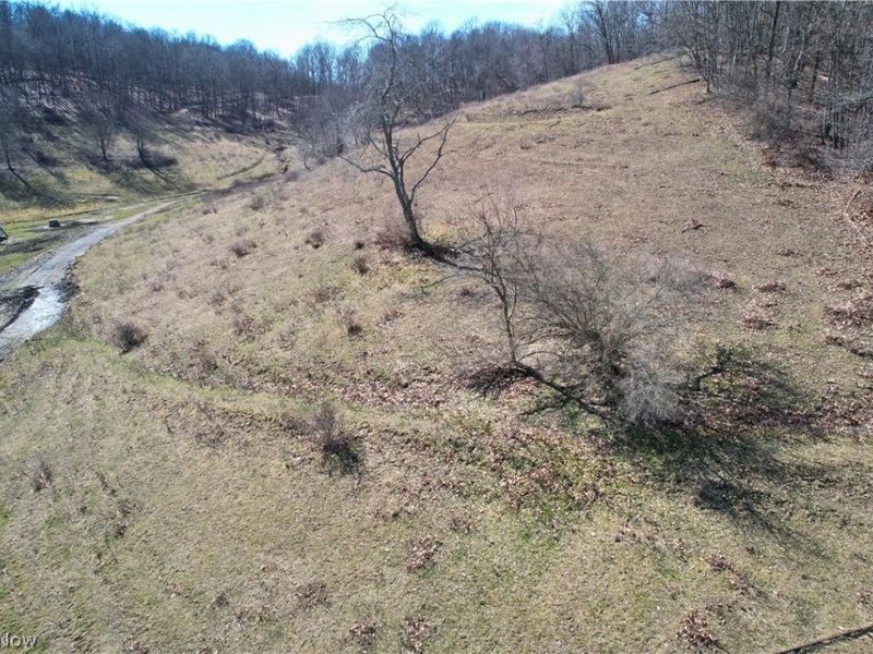 Wolf Road SW, Port Washington, OH 43837 Photo 10