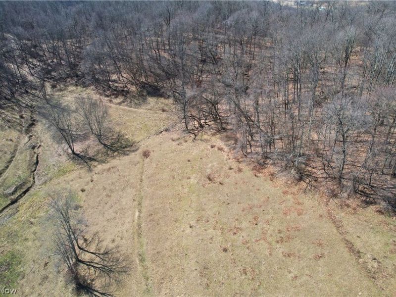 Wolf Road SW, Port Washington, OH 43837 Photo 13