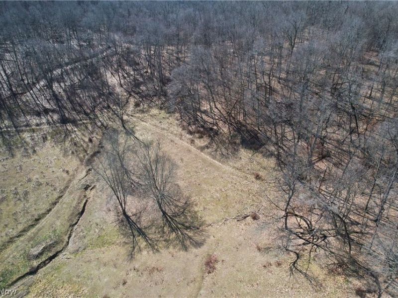 Wolf Road SW, Port Washington, OH 43837 Photo 14