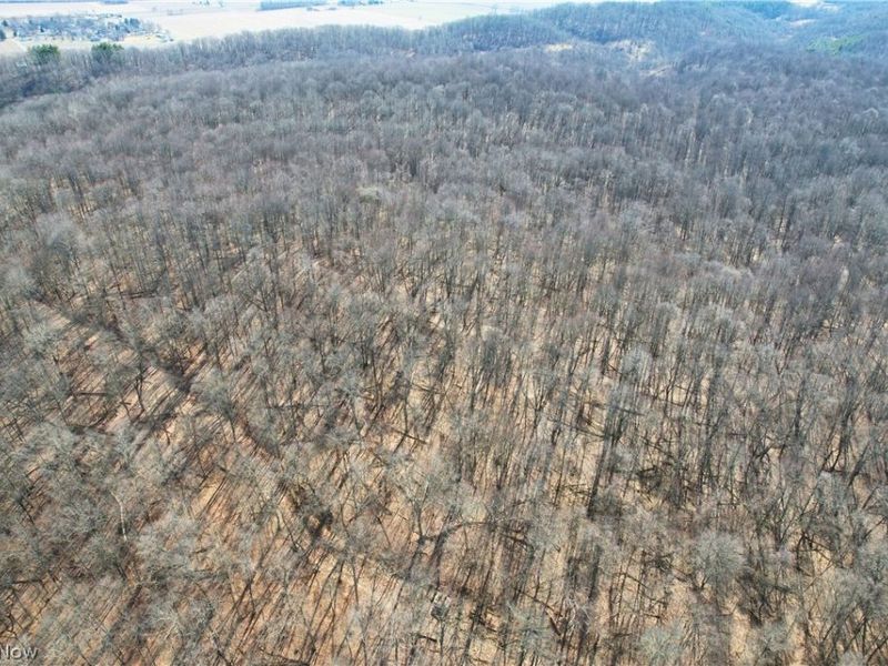 Wolf Road SW, Port Washington, OH 43837 Photo 16