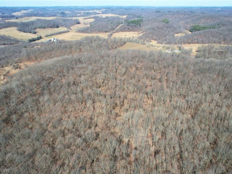 Wolf Road SW, Port Washington, OH 43837 Photo 2