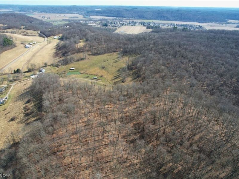 Wolf Road SW, Port Washington, OH 43837 Photo 21