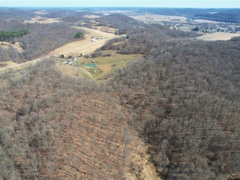 Wolf Road SW, Port Washington, OH 43837 Photo 24