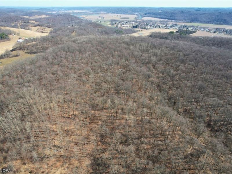 Wolf Road SW, Port Washington, OH 43837 Photo 26