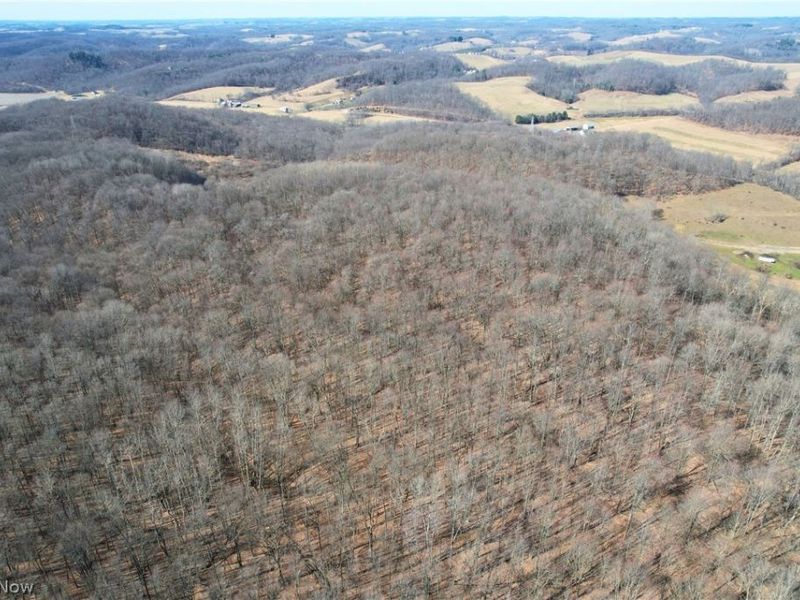 Wolf Road SW, Port Washington, OH 43837 Photo 4