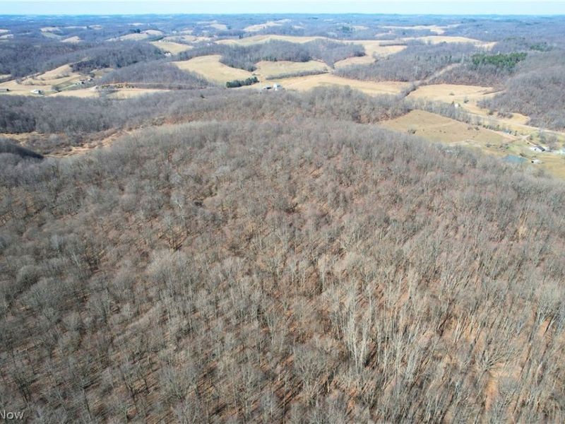 Wolf Road SW, Port Washington, OH 43837 Photo 5