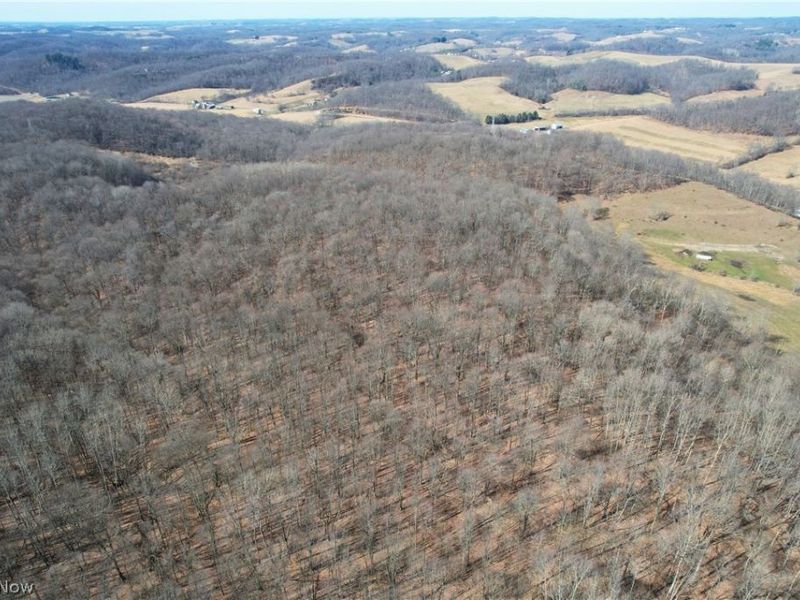 Wolf Road SW, Port Washington, OH 43837 Photo 6