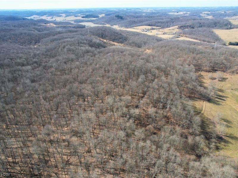 Wolf Road SW, Port Washington, OH 43837 Photo 7