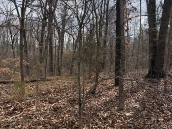 Bankfoot Lane , Bella Vista, AR 72715