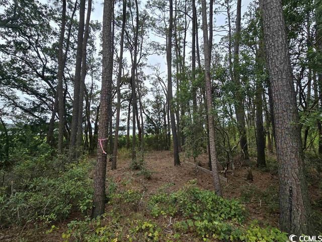 Tbd Gillette Pl. Photo 4