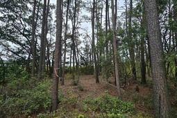 Tbd Gillette Pl. photo 4