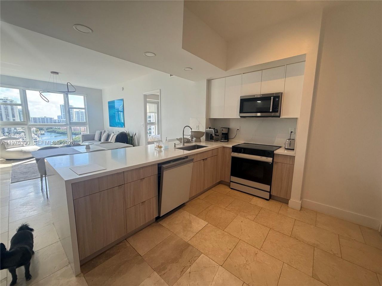 20000 E Country Club Dr , Unit PH09, Aventura, FL 33180 Photo