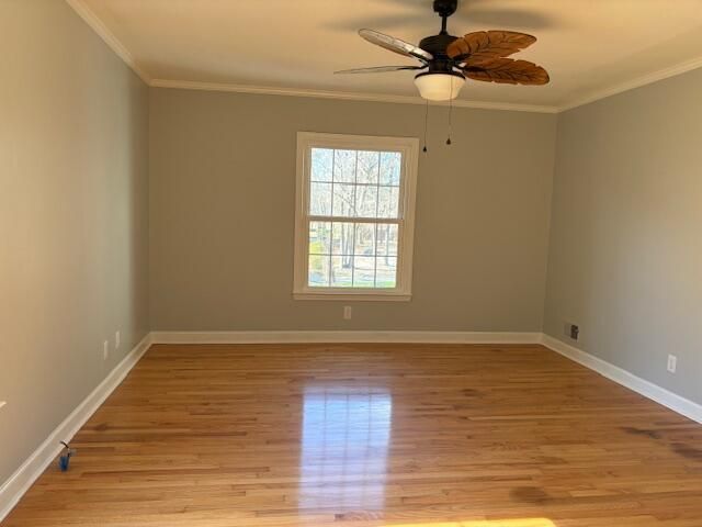 289 Brookside Drive Photo 7