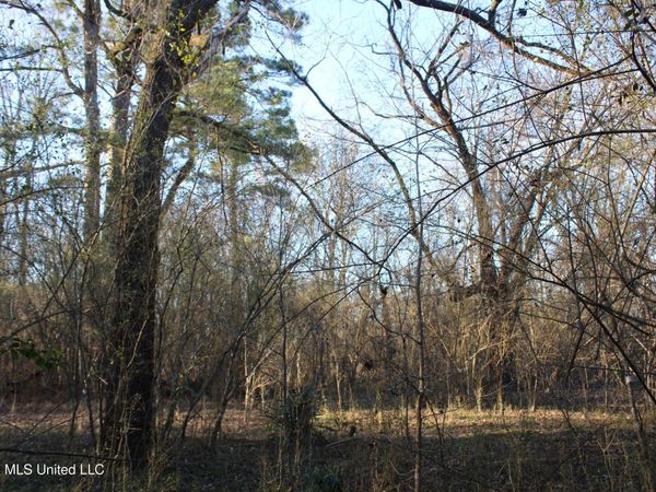 3641 Miller Road, Olive Branch, MS 38654