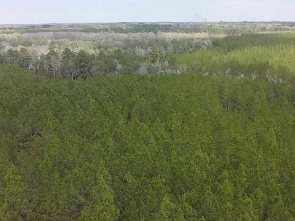 Tract#6418 S Mattox Springs Road, Unit S1, Caryville, FL 32427