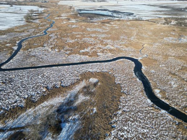 - Lake Andrew Township, New London, MN 56273