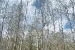 1219 Goffman Drive  photo 4