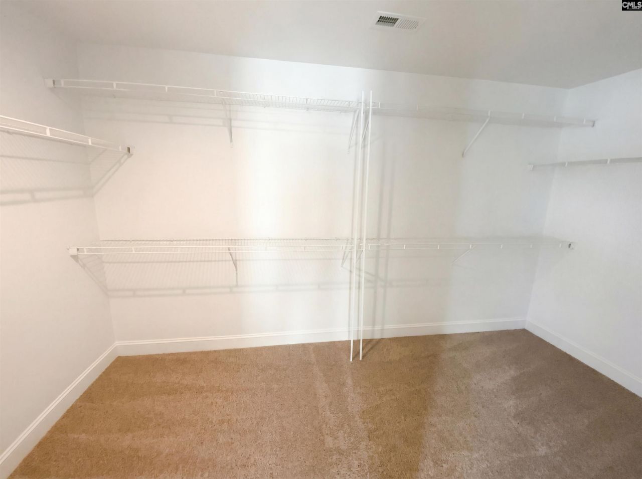 243 Meadow Saffron Drive  Photo 13