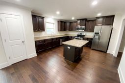 243 Meadow Saffron Drive  photo 4